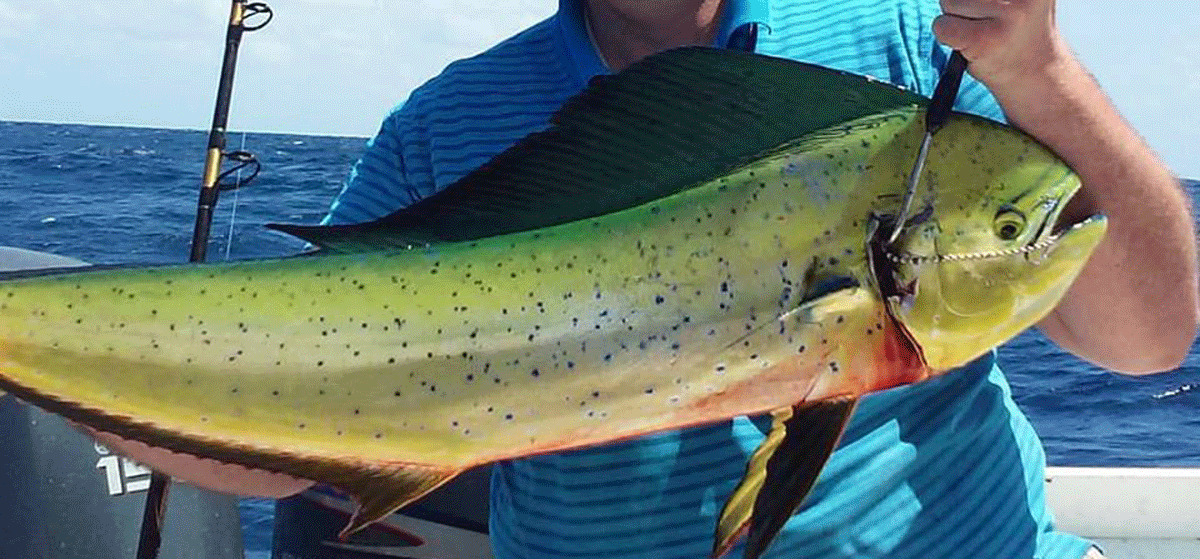 charter fishing pompano beach